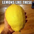 Fuck your lemons. (Vongola Family)