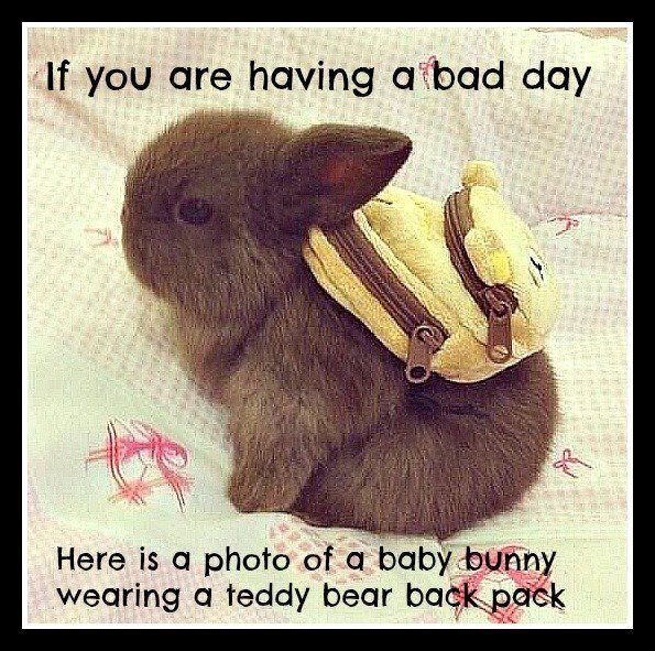 it helps but then I see the backpack, and I think of school and get sad again. - meme