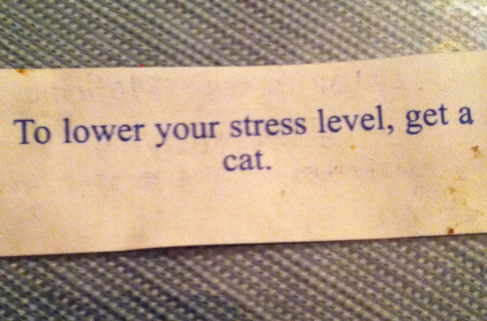 My Chinese fortune  - meme