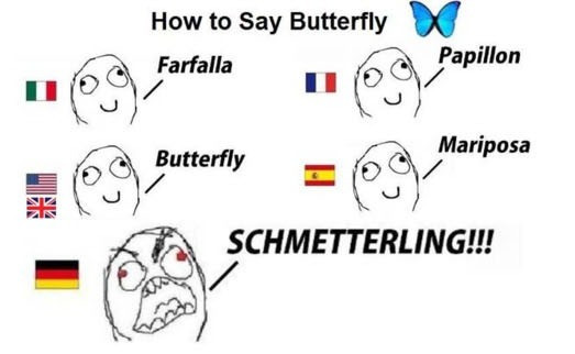 farfalla - meme