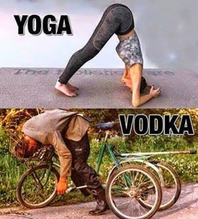the effects of vodka  - meme