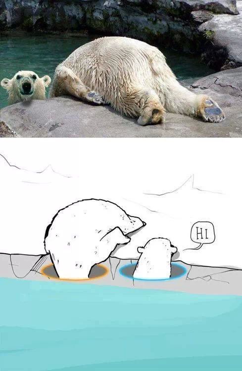 oso polar - meme