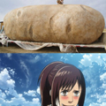 The mighty potato (Attack on Titan)