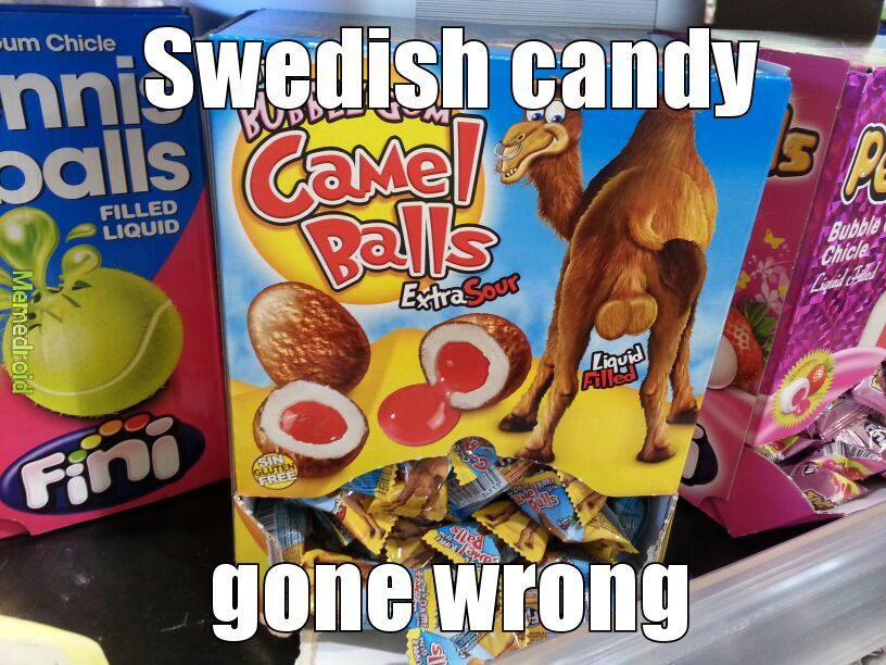 camel balls - meme