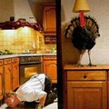 À Thanksgiving les dindes jouent à cache cache.