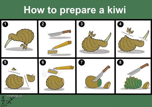 kiwi 101 - meme