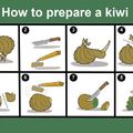kiwi 101