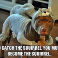 Squirrel!!!