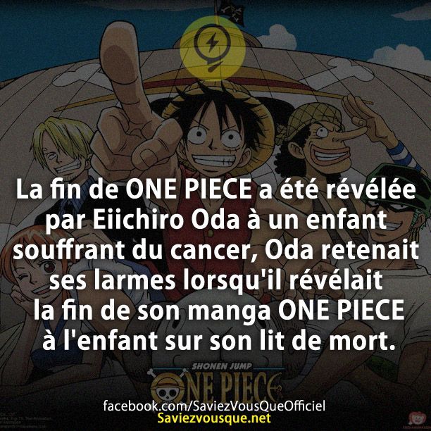 One Piece! - meme