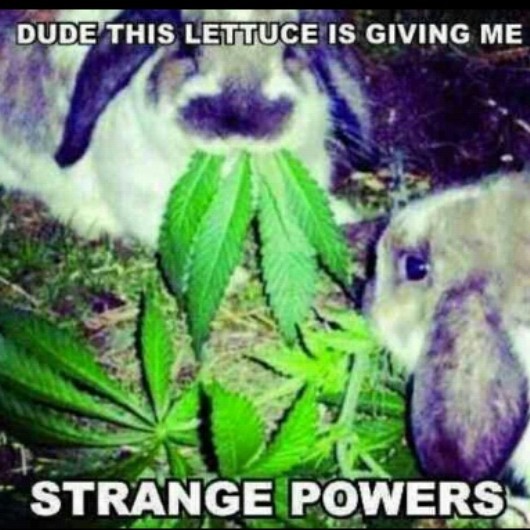 Marijuana - meme