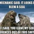 Blew A Seal