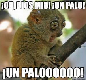 un palo - meme